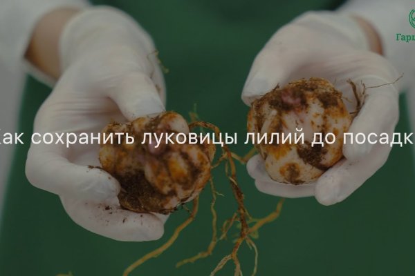Кракен онион зеркало