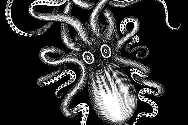Kraken рабочая ссылка 2025