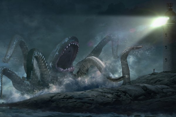 Kraken forum