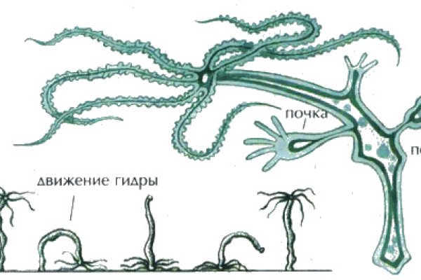 Пользователь не найден кракен