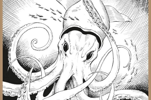 Www kraken 20at net