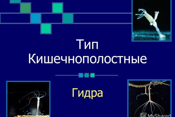 Кракен купить порошок