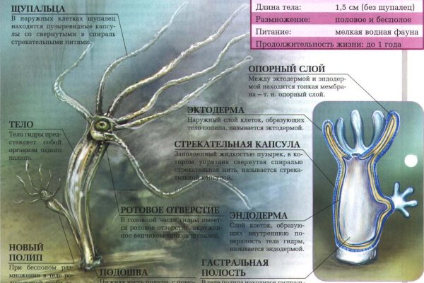 Кракен супернет зеркало пв