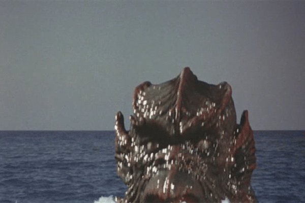 Kraken 19 at