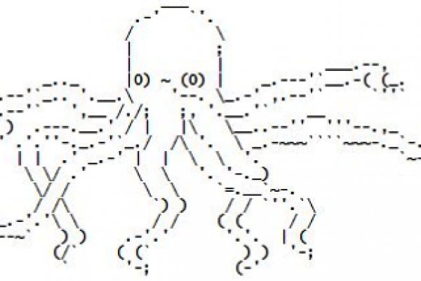 Kraken market