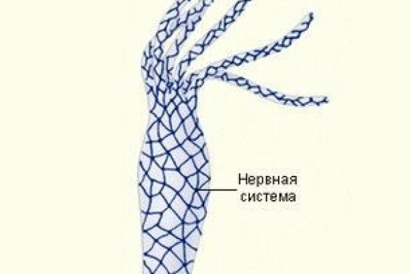 Спрут мега кракен