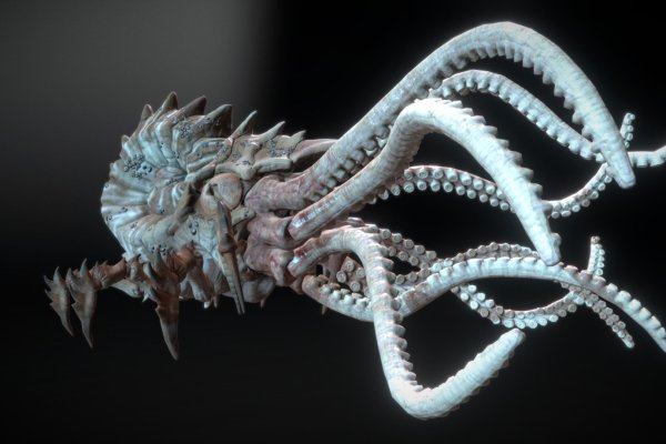 Kraken at зеркало