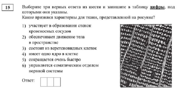 Регистрация на сайте кракен
